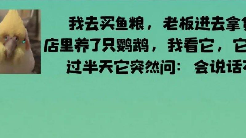 广州饼干批发市场攻略：如何找到最实惠的选择
